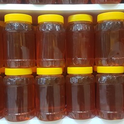 عسل کنار طبیعی ارمغان تندرستی نیم کیلویی (گیاه سدر) 