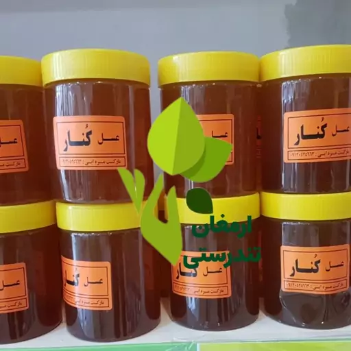 عسل کنار طبیعی ارمغان تندرستی نیم کیلویی (گیاه سدر) 