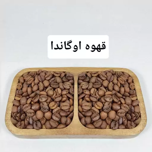 قهوه اوگاندا روبوستا (1 کیلو)