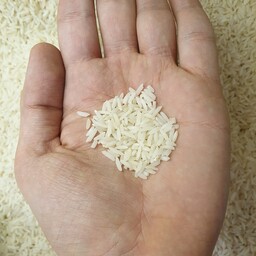 برنج لاشه طارم هاشمی شمال خوش عطر و خوش پخت ( برنج لاشه ایرانی ) وزن 500 گرم