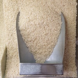 برنج هاشمی درجه یک گیلان معطر و خوشپخت ( برنج شمالی ایرانی ) وزن 500 گرم
