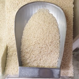 برنج نیمدانه طارم شمال خوش عطر و خوش پخت ( برنج لاشه هاشمی ) وزن 500 گرم