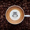 کافه قهوه جنوب