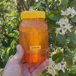 عسل طبیعی شکوفه بهار نارنج (یک کیلویی)