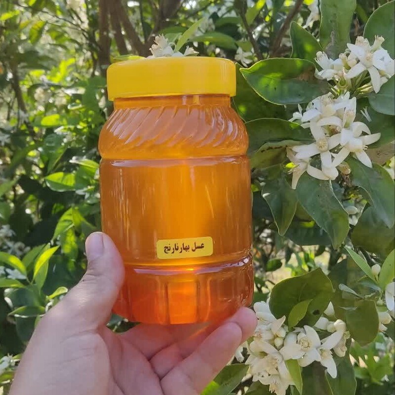 عسل طبیعی شکوفه بهار نارنج (یک کیلویی)