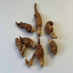 پودر ریشه جینسینگ ماکا زرد (500 گرمی) 
