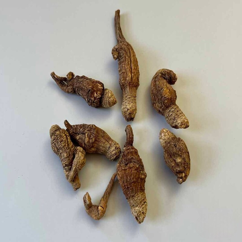 پودر ریشه جینسینگ ماکا زرد (50 گرمی) 