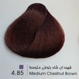 رنگ موی حرفه ای لیونل کالر  قهوه ای شاه بلوطی متوسط 4  85حجم 100 میل