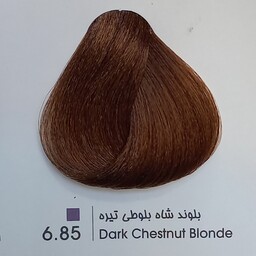 رنگ موی حرفه ای لیونل کالر  بلوند شاه بلوطی تیره 6  85حجم 100 میل