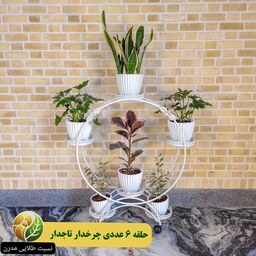 استند گلدان حلقه چرخدار 6 عددی تاجدار ، (هزینه ارسال به صورت پس کرایه)