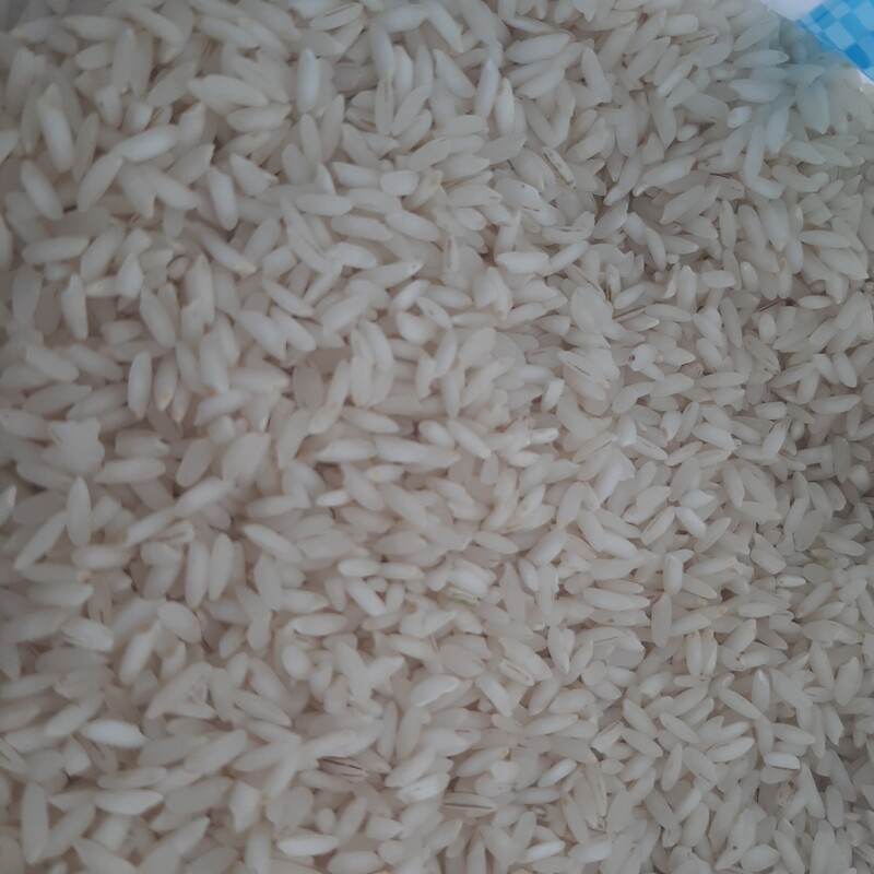 برنج چمپا فوق ممتاز