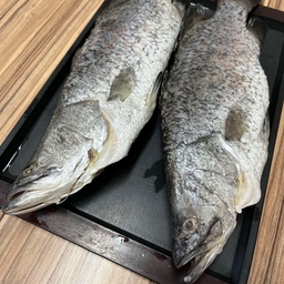 ماهی سی بس ، شکم خالی ، بدون پولک و آبشش ، آماده پخت ، در بسته بندی وکیوم یا کیسه پلاستیکی - آماده طبخ ، در سه سایز وزنی