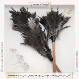 چوب پر گردگیر شترمرغ(نوع پر حجم درجه 1)