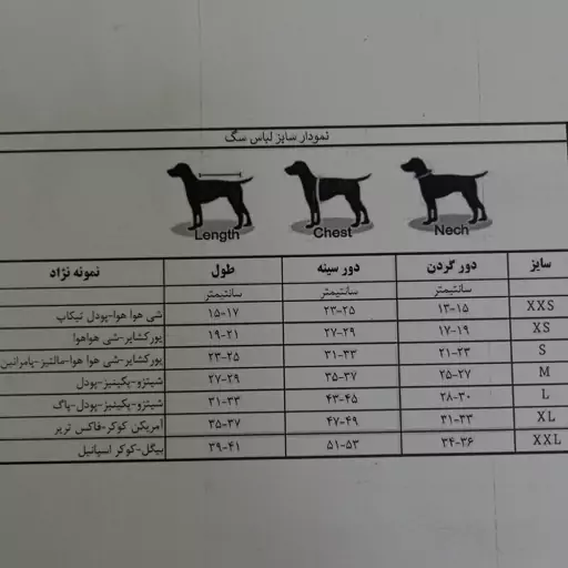 لباس سگ و گربه،ست پیراهن و کلاه