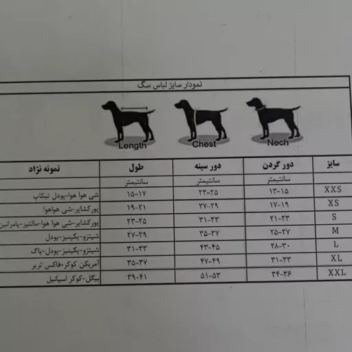 لباس سگ و گربه،سارافون پروانه ای