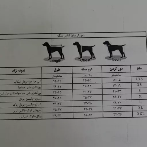 لباس سگ و گربه،ست تیشرت و کلاه