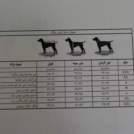 لباس سگ و گربه،هاوایی