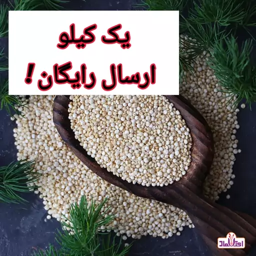 کینوا سفید اعلا 500 گرمی اعتماد محصول پرو(خاویار گیاهی)