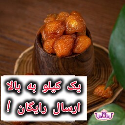 آلو بخارا گوشتی 100 گرمی اعتماد تازه و خوشمزه(آلوخورشتی)