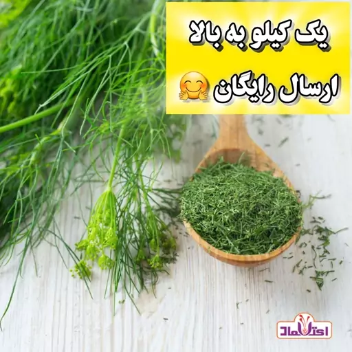 شوید خشک سبز اعلا 250 گرمی اعتماد تازه(سبزی شوید)