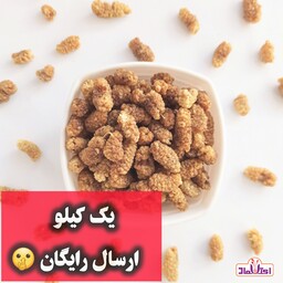 توت خشک ریز 500 گرمی اعتماد امسالی  شیرین و روشن