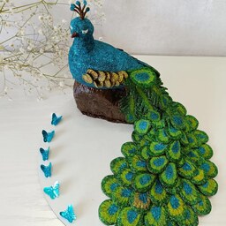 سینی طاووس حنا