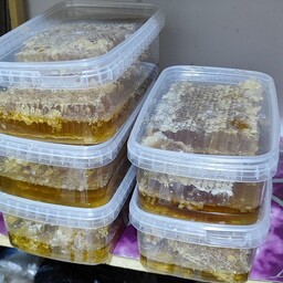 عسل خالص  کوهی کاملا طبیعی بی واسطە خرید کن وزن یک کیلو گرم 