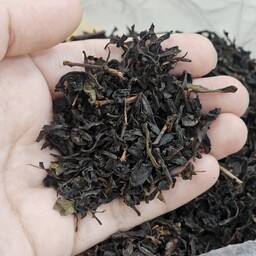 چای قلم بهاره گیلان 1403 بدون رنگ و اسانس