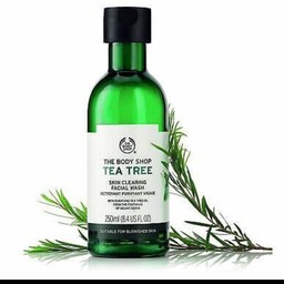 ژل شستشو پوست چرب تی تری بادی شاپ 250 میل 
THE BODY SHOP TEA TREE

