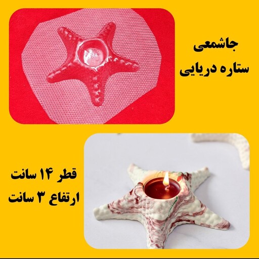 جاشمعی ستاره دریایی طلقی