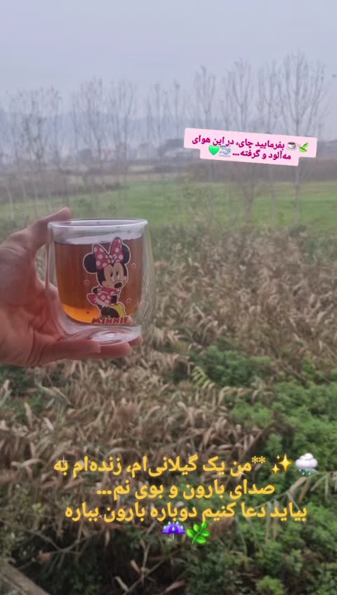 ماگ دوجداره بدون دسته