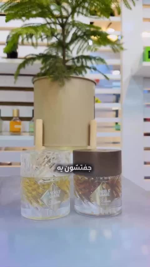ادکلن زنانه مردانه انجل شیر 50 میل