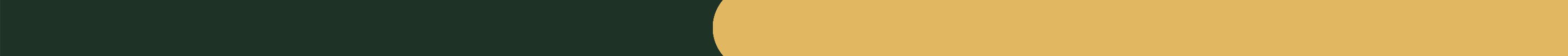 top banner