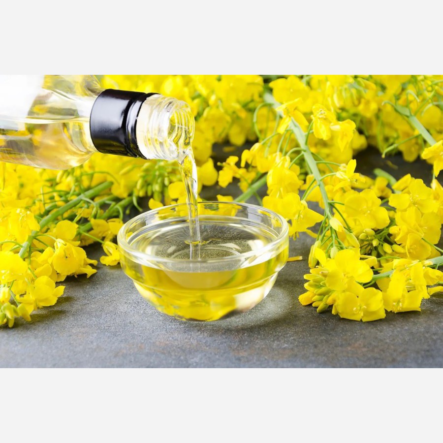 روغن کلزا ، طلای طلایی طبیعت