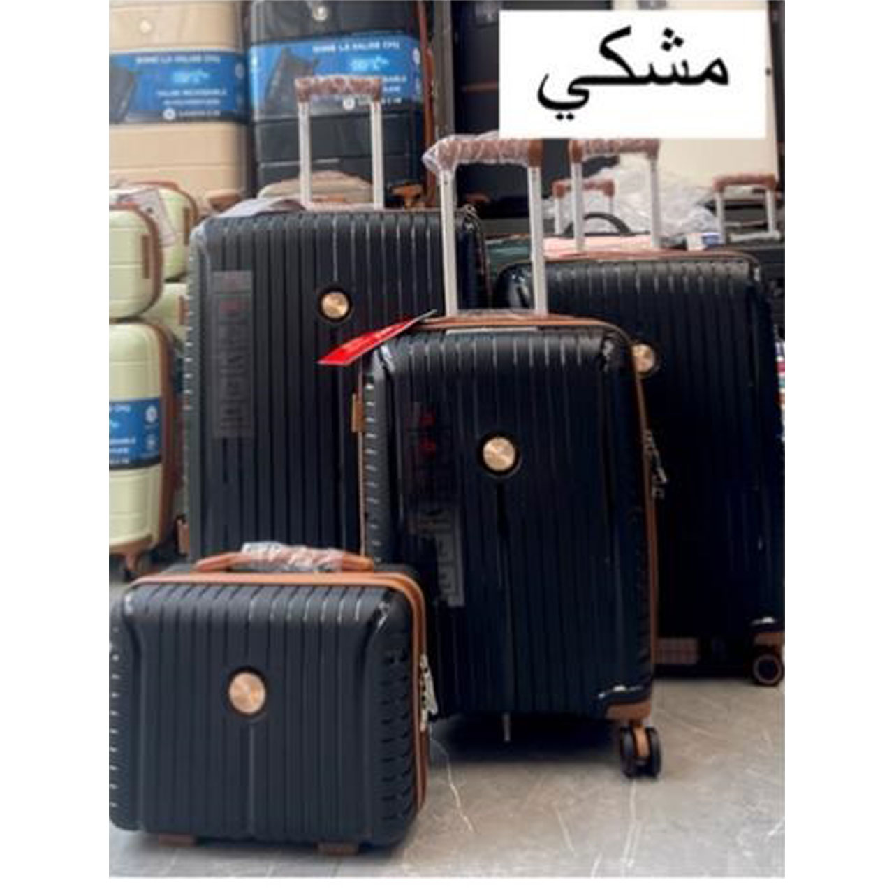 چمدان مسافرتی چهار تکه Ricardo مدل 015