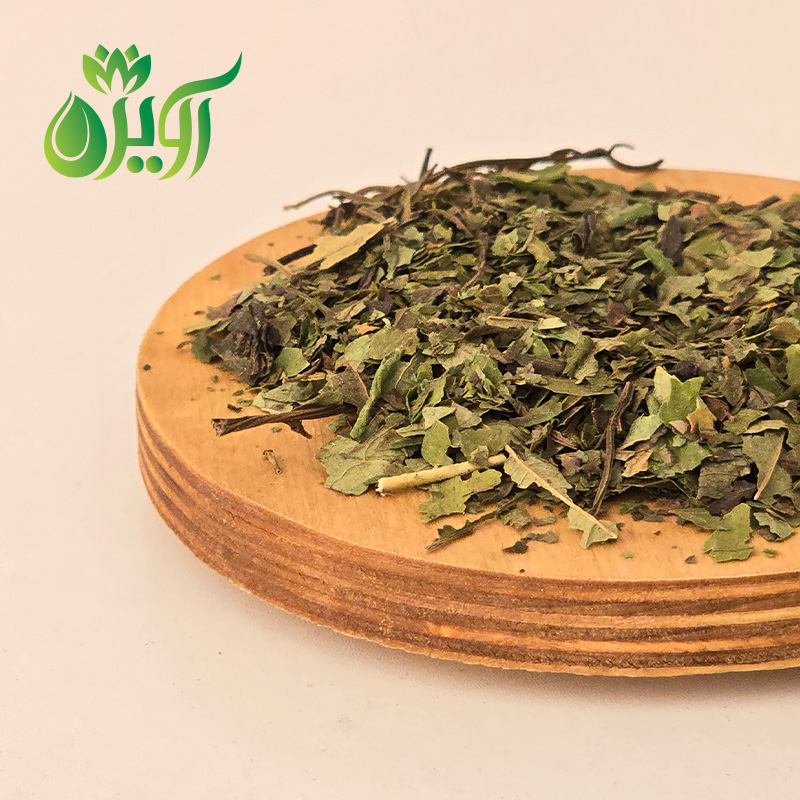 برگ آقطی سیاه