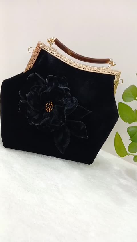 کیف مجلسی و دستدوز دلسا 38