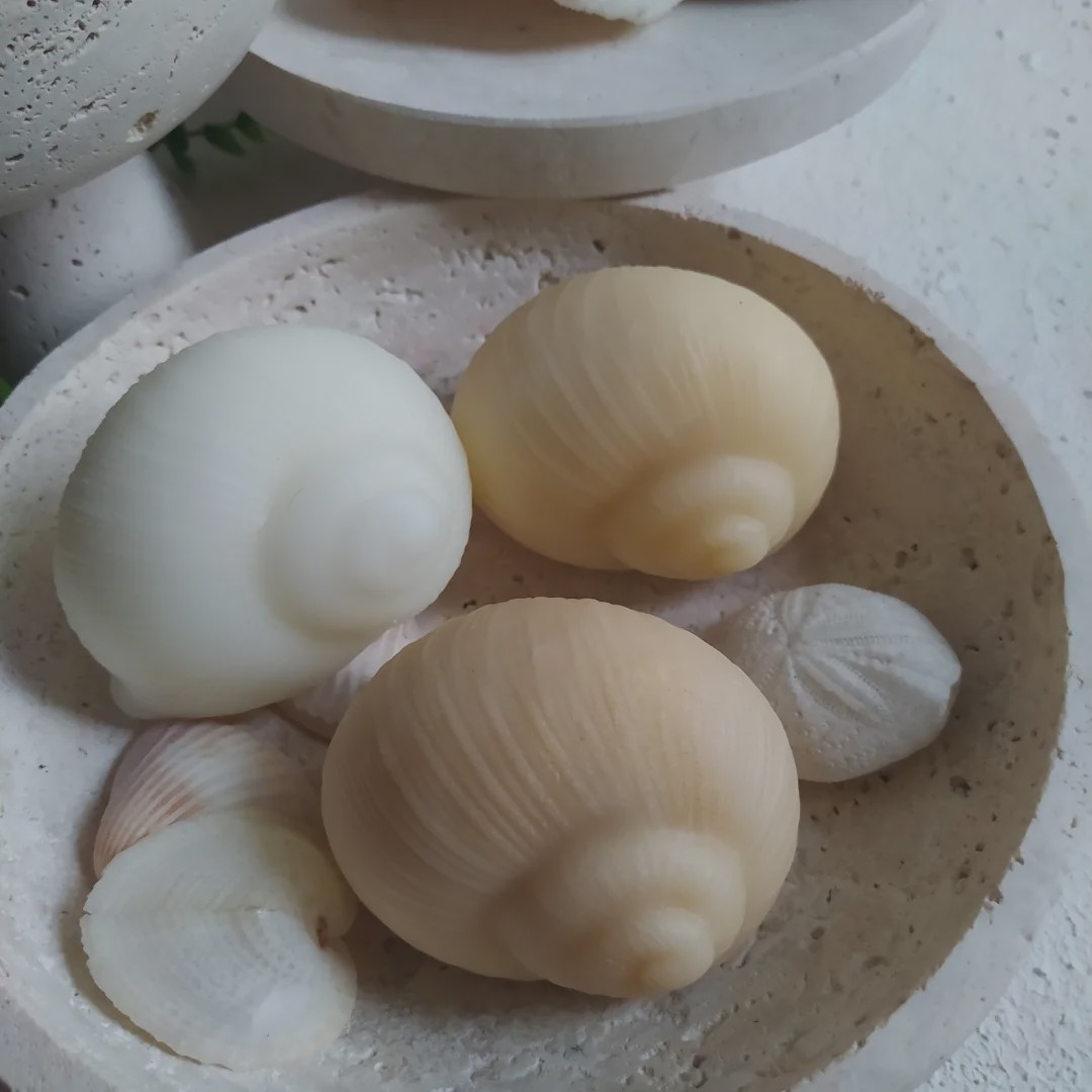 قالب سیلیکونی صدف سایز 6cm