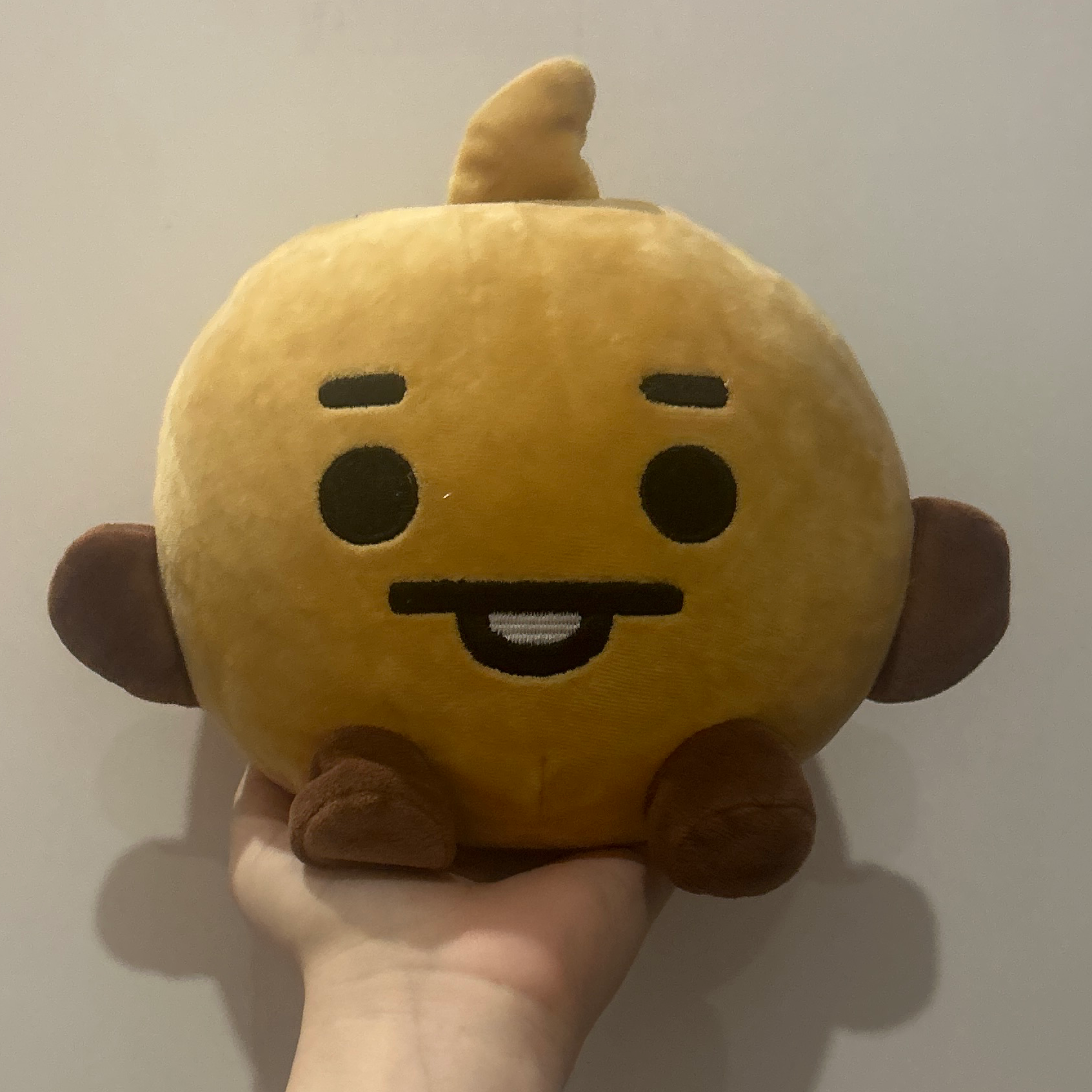 عروسک پولیشی کیفیت بالا bt21 شوکی