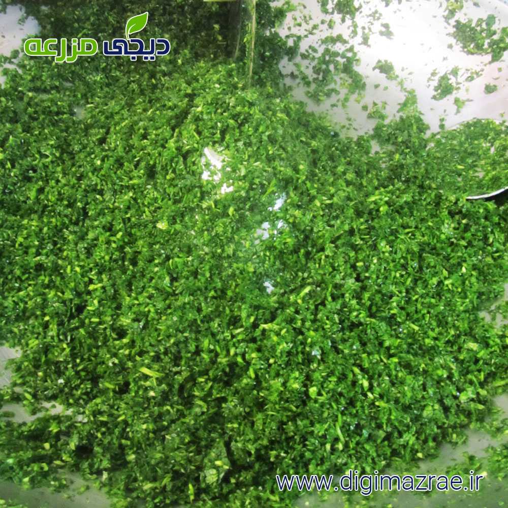 سبزی کوفته، دلمه خام