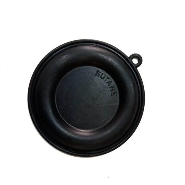 دیافراگم آبگرمکن بوتان B15