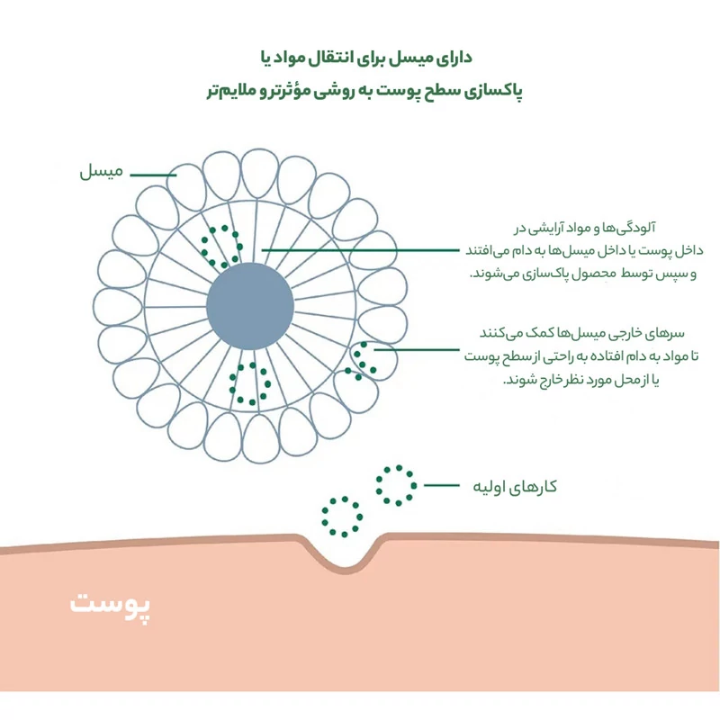 میسلار واتر سیمپل اورجینال