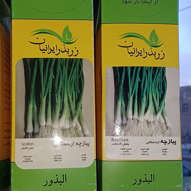 بذر پیازچه زربذر