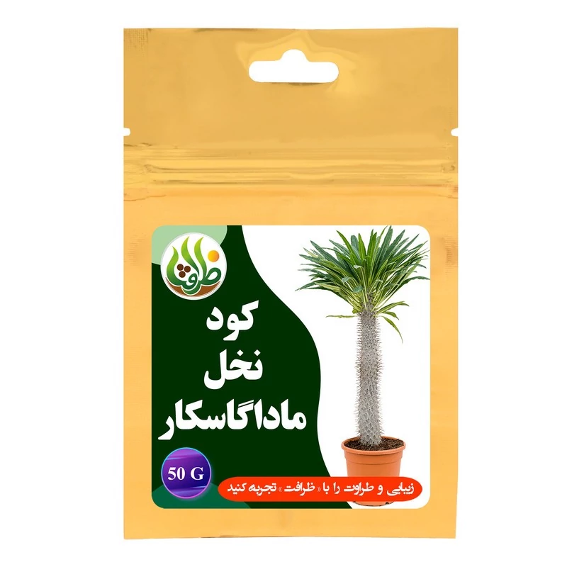 کود نخل ماداگاسکار ظرافت مدل KO21313 وزن 50 گرم