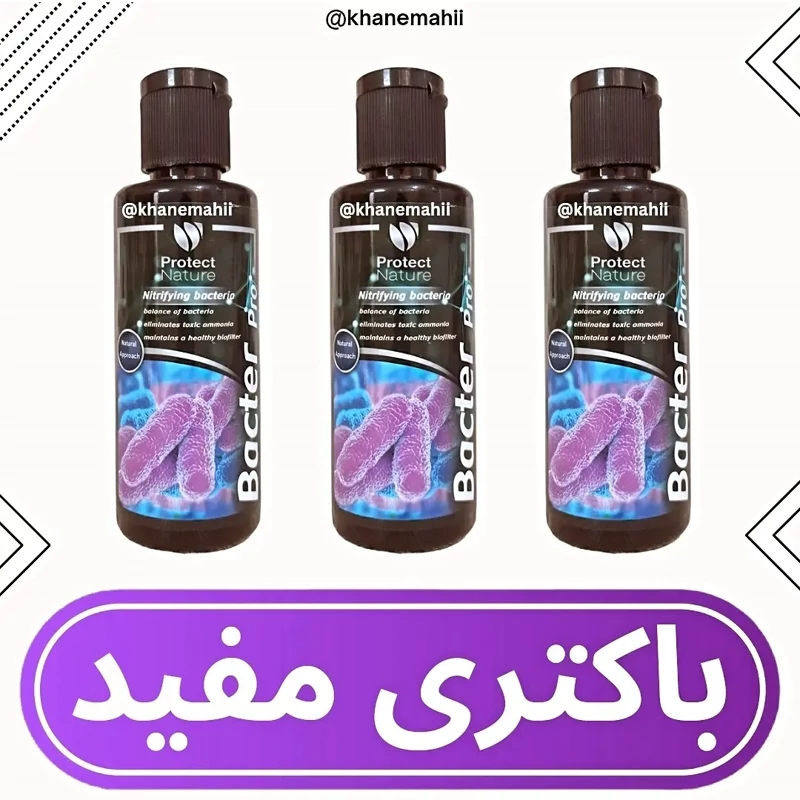 محلول باکتریساز پروتکت
