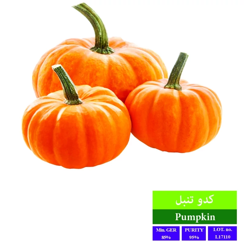 بذر گوجه فرنگی