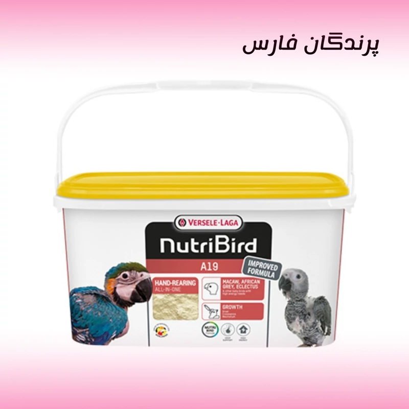 سرلاک A19 پرنده و عروس هلندی و طوطی سانان - ورسلاگا بلژیکی کاملا اورجینال و اصلی - 100 گرمی 