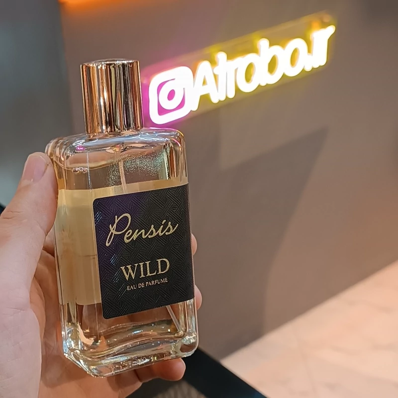 ادو پرفیوم مردانه پنسیس مدل وایلد pensis wild حجم 100 میلی لیتر