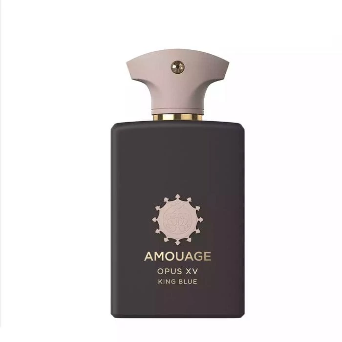 ادکلن آمواج پرپس 50 حجم 100 میل | Amouage Purpose 50 EDP
