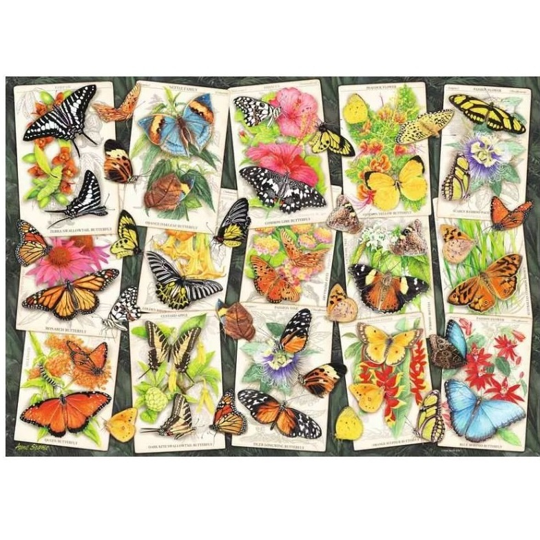 پازل 1000 تکه راونزبرگر مدل Tropical Butterflies کد 12001084 مناسب برای 14 سال به بالا